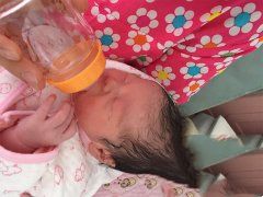 �����ѳ���Ͳ��� �Թ�Ӥ��������